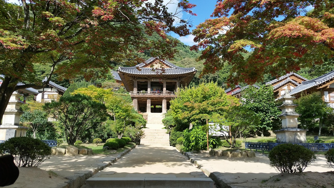 永住申請の不許可を回避｜あなたの未来をつなぐ対策ガイド| 行政書士MP法務事務所
